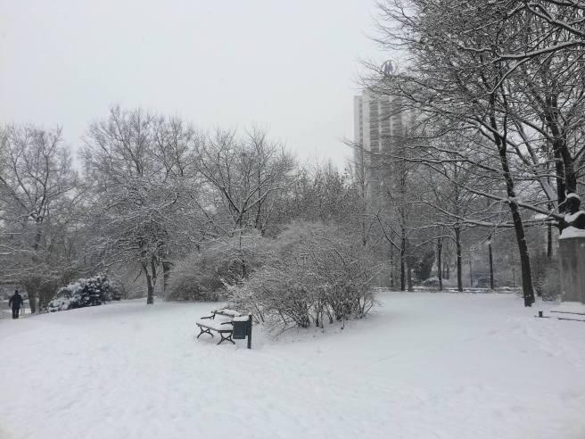 10887137_1032790580070588_7746956397238864597_o