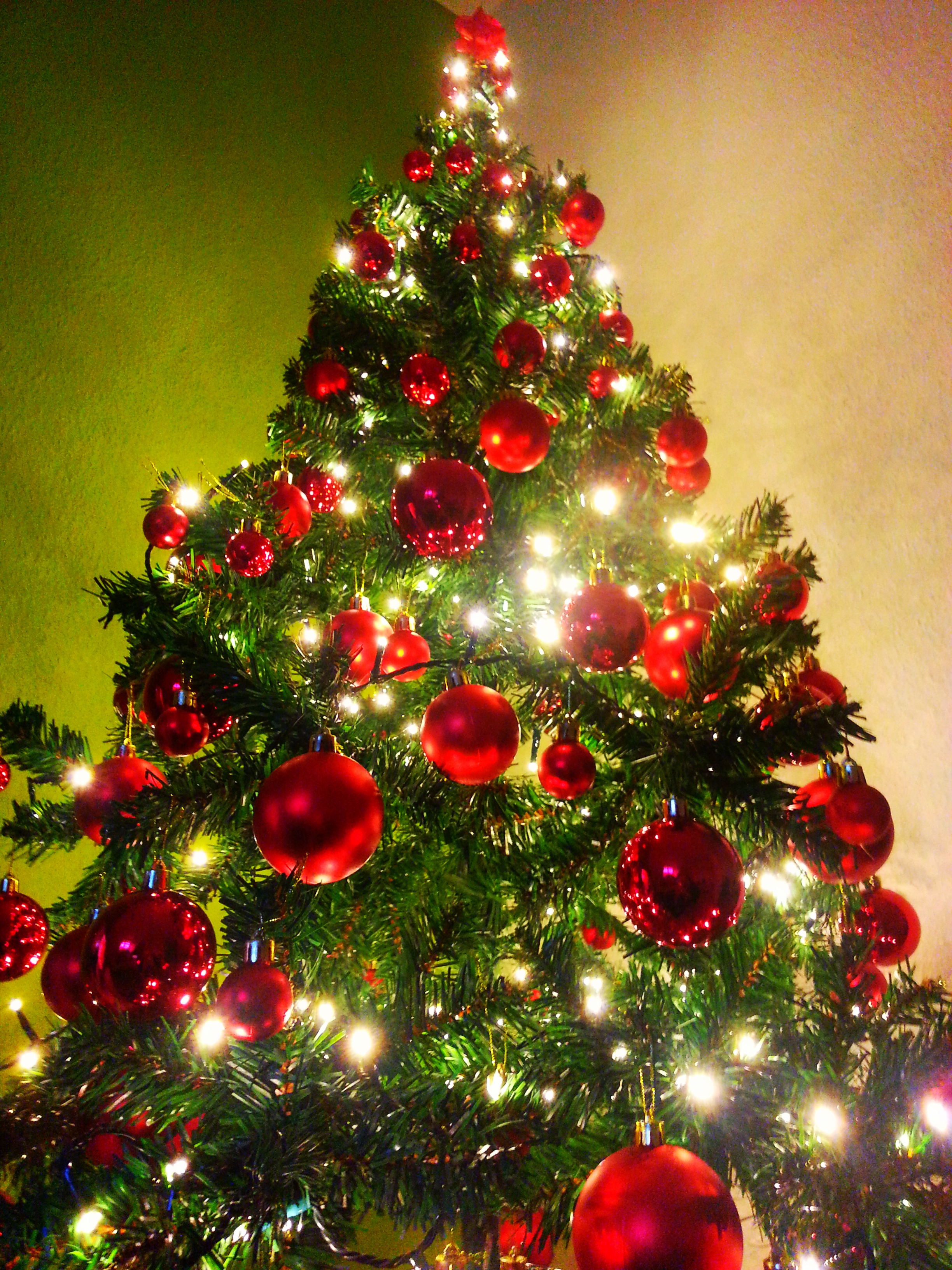 23650243320_80dc57e409_o