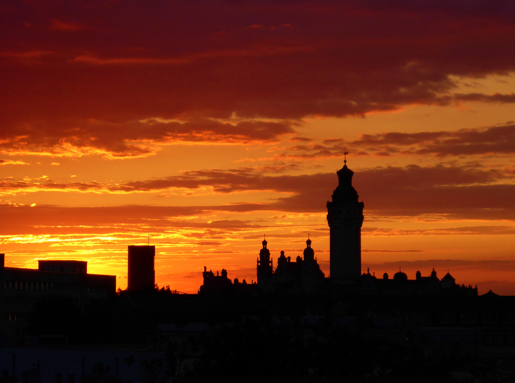 19527270244_b25254606e_k